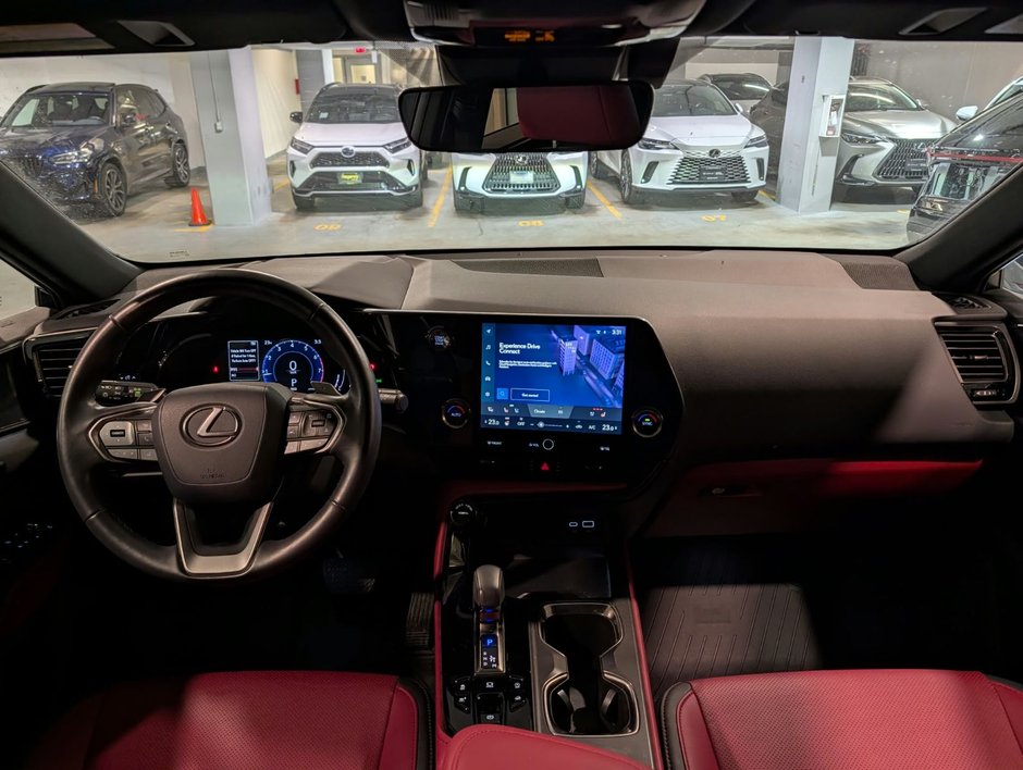 2025 Lexus NX 350 PREMIUM PACKAGE-3