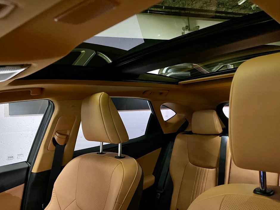 2022 Lexus NX 350h-19