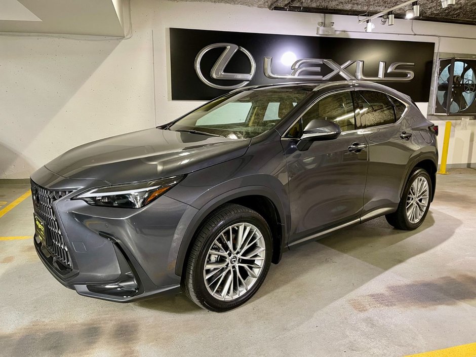 2022 Lexus NX 350h-0