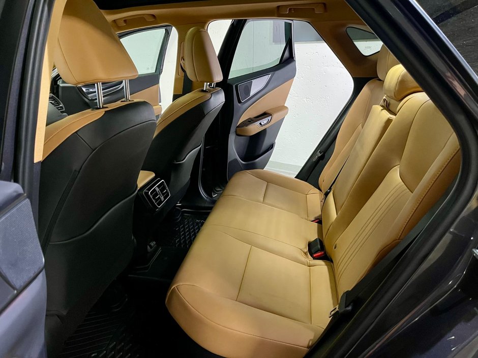 2022 Lexus NX 350h-8