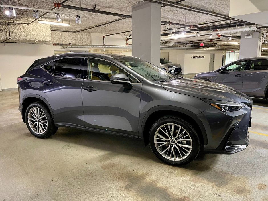 2022 Lexus NX 350h-3