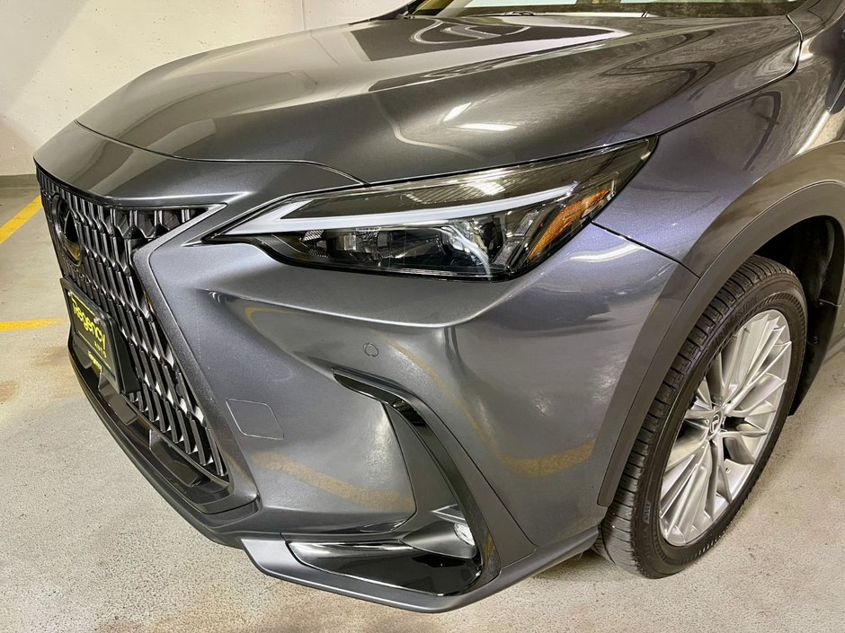 2022 Lexus NX 350h-1