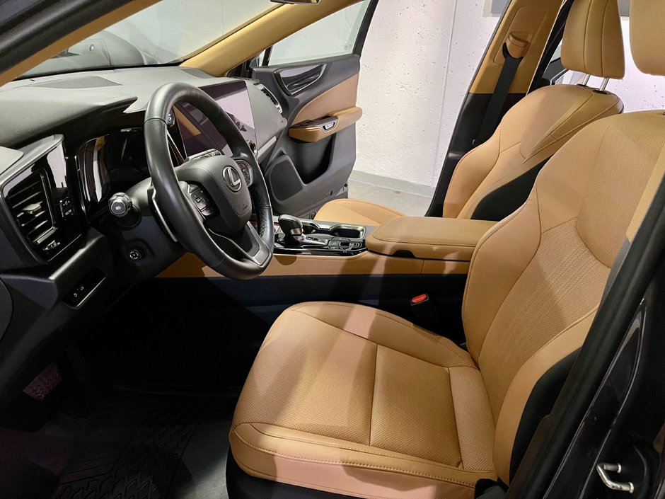 2022 Lexus NX 350h-9