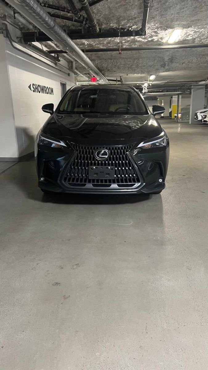 2022 Lexus NX 350h ULTRA LUXURY-2