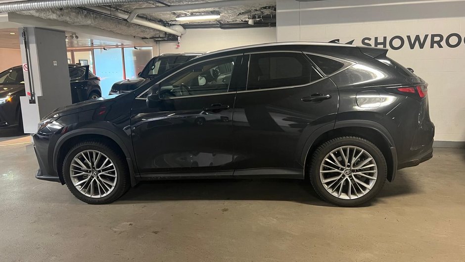 2022 Lexus NX 350h ULTRA LUXURY-0