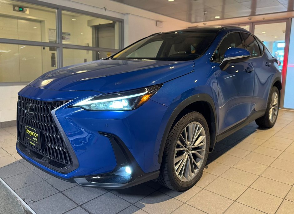 2022 Lexus NX 350h-0