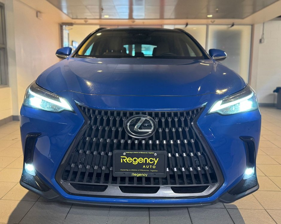 2022 Lexus NX 350h-1