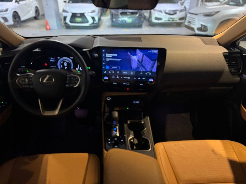 2022 Lexus NX 350h-3