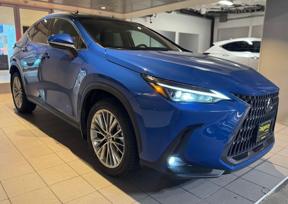 2022 Lexus NX 350h-2