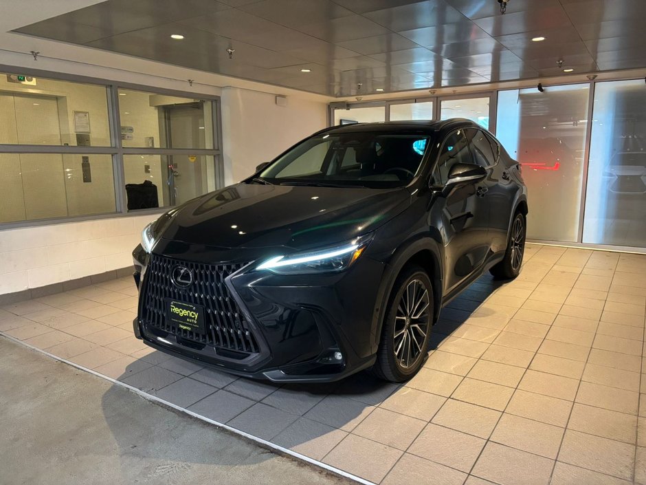 2022 Lexus NX 350h-0