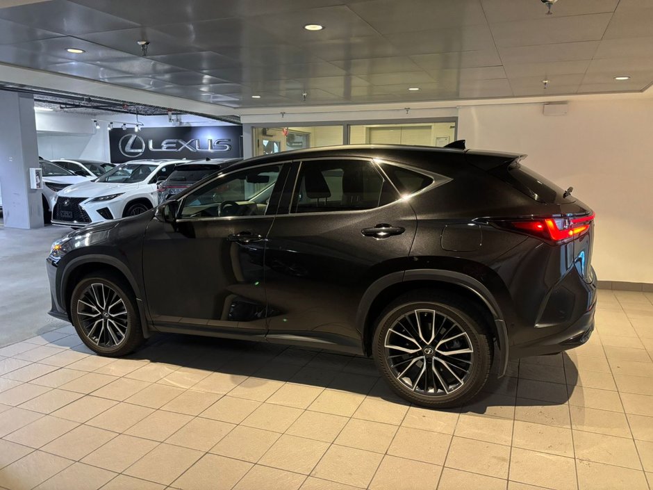2022 Lexus NX 350h-2