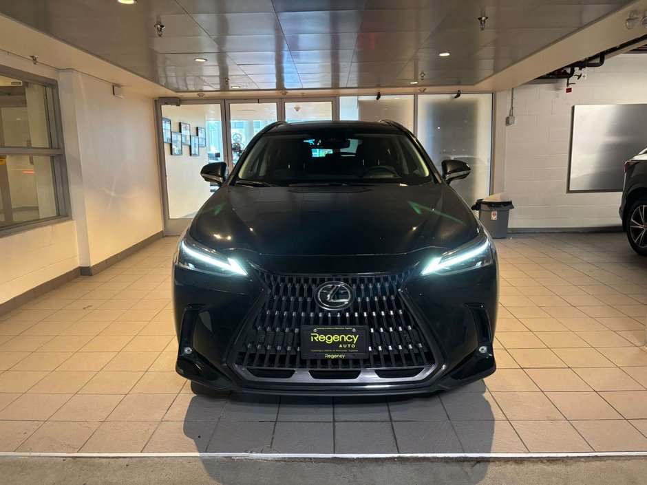 2022 Lexus NX 350h-1