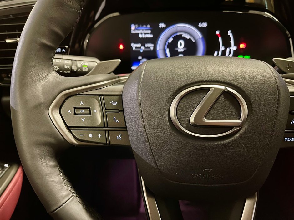 2022 Lexus NX 350h HYBIRD AWD LUXURY PKG-14