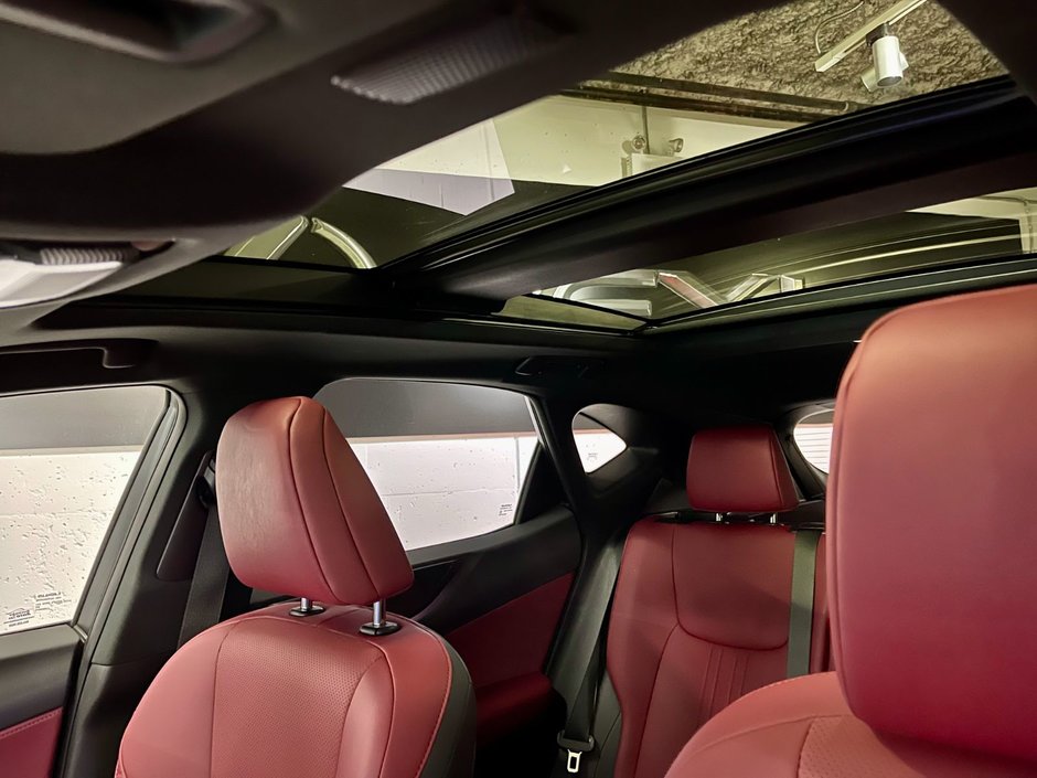 2022 Lexus NX 350h HYBIRD AWD LUXURY PKG-21