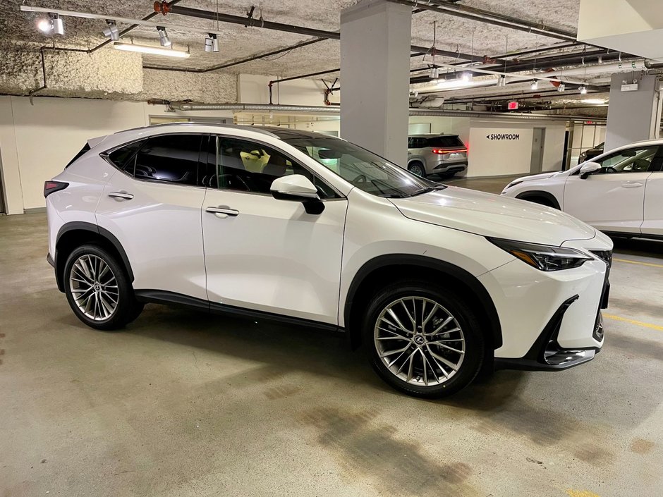 2022 Lexus NX 350h HYBIRD AWD LUXURY PKG-3