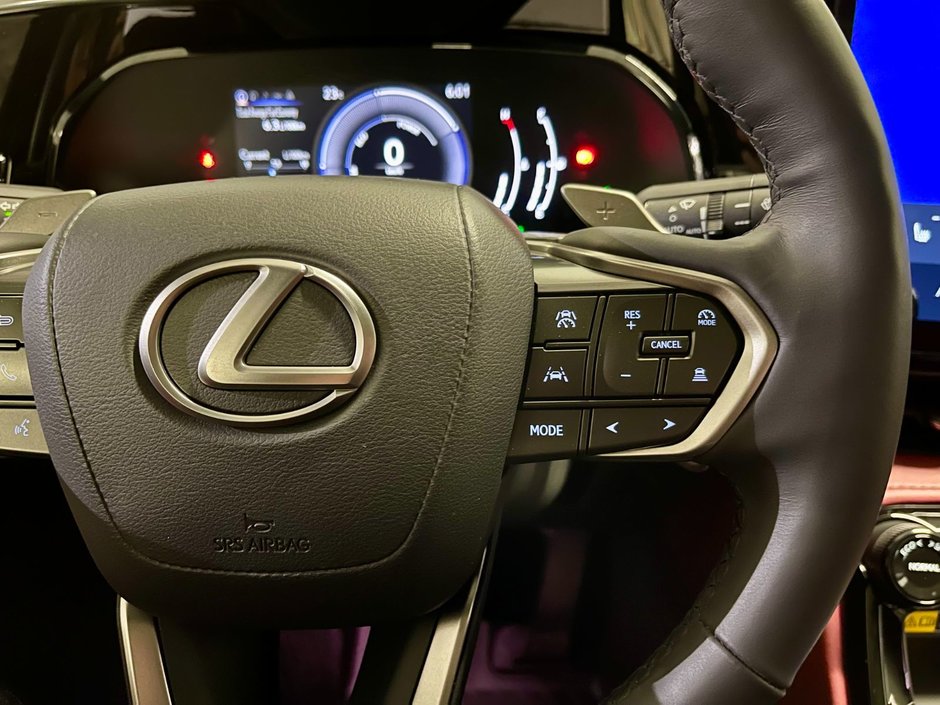 2022 Lexus NX 350h HYBIRD AWD LUXURY PKG-15