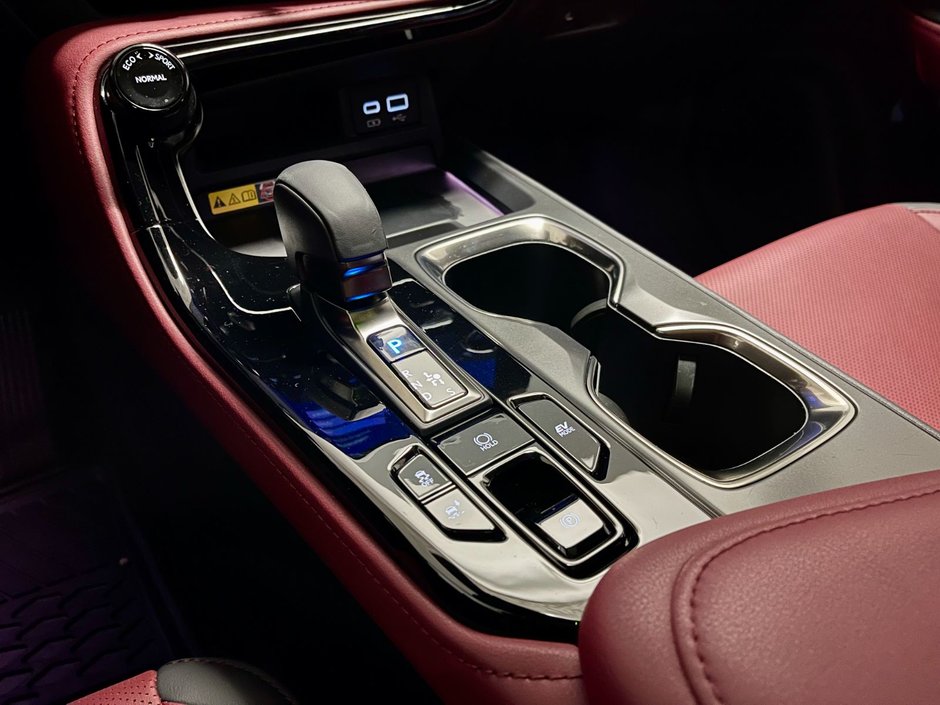 2022 Lexus NX 350h HYBIRD AWD LUXURY PKG-17