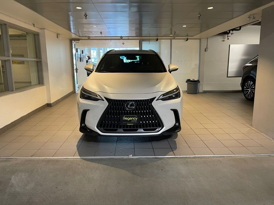 2022 Lexus NX 350h-1