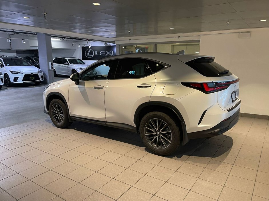2022 Lexus NX 350h-2