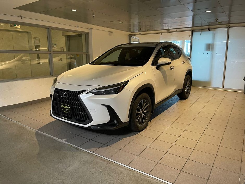 2022 Lexus NX 350h-0