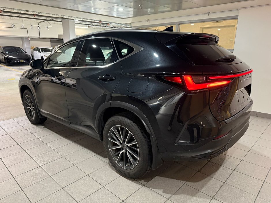 2022 Lexus NX 350h-2