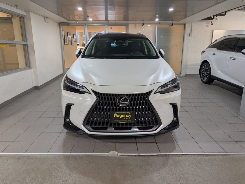 2022 Lexus NX 350h-1