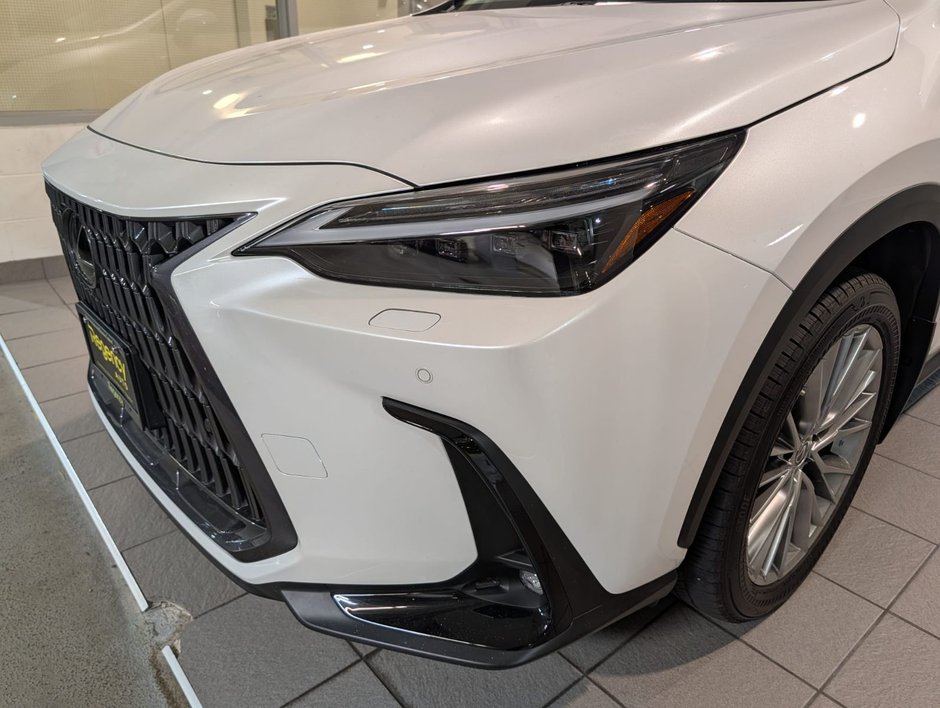 2022 Lexus NX 350h-2