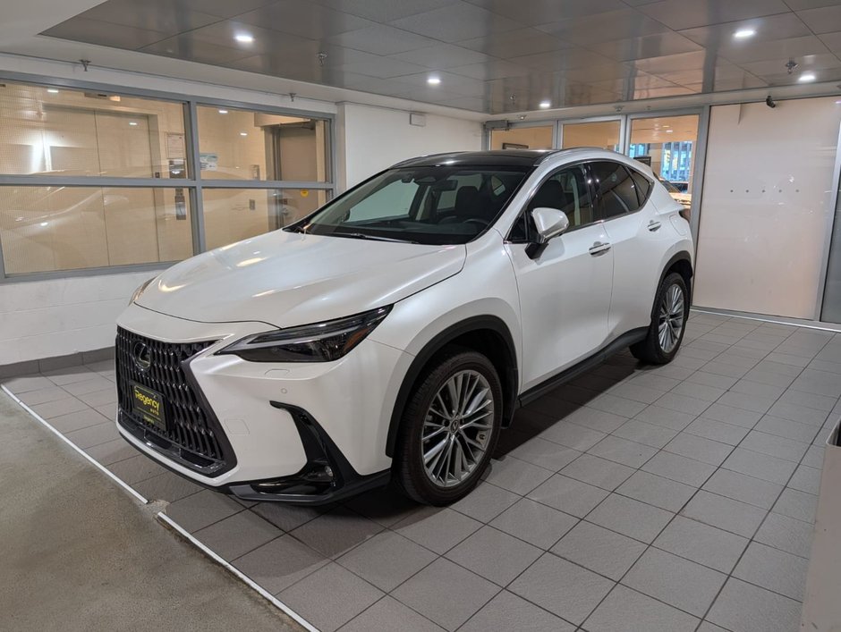 2022 Lexus NX 350h-0