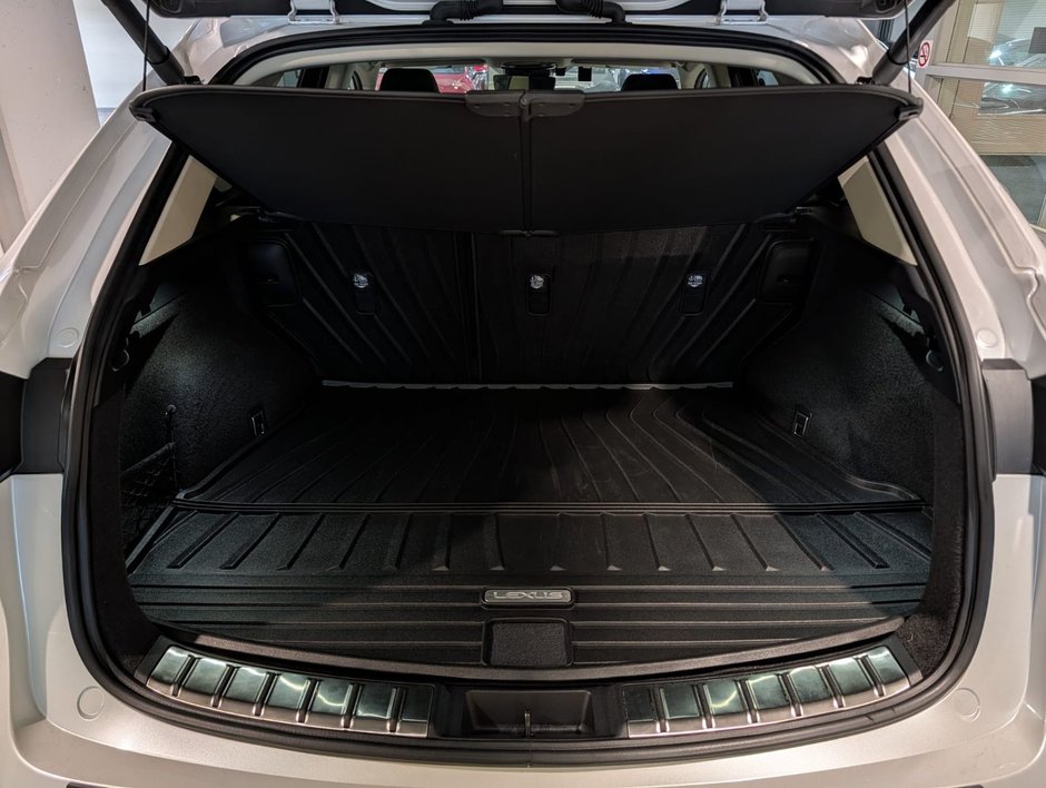 2022 Lexus NX 350h-8