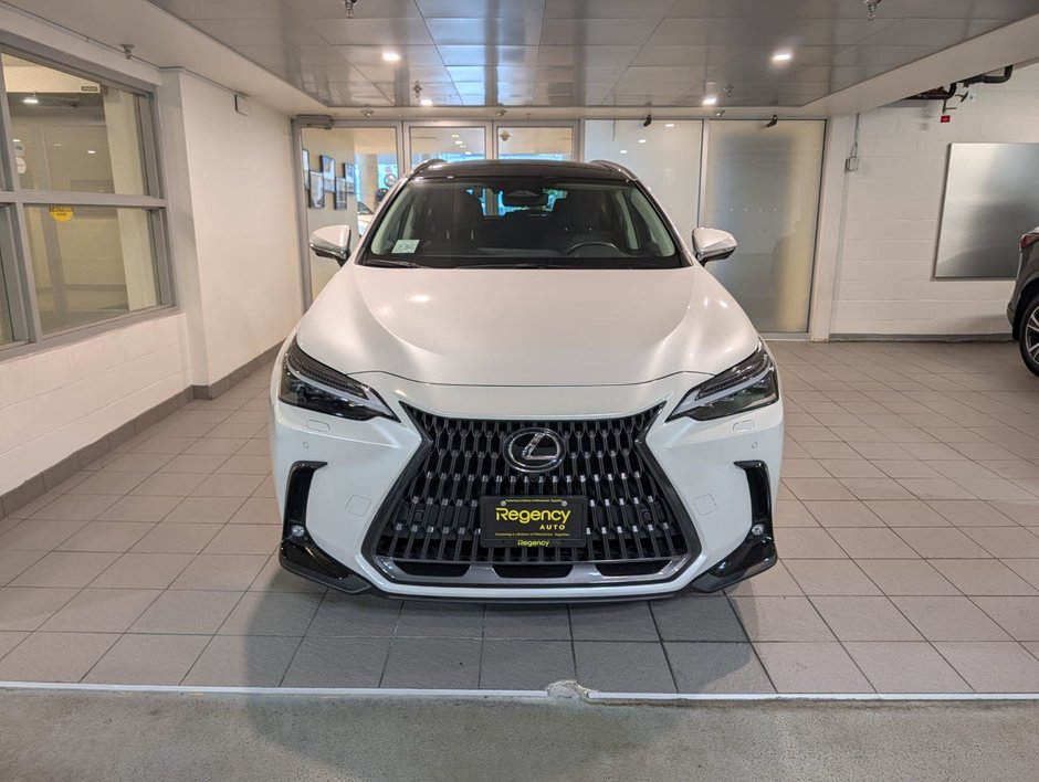2022 Lexus NX 350h-1