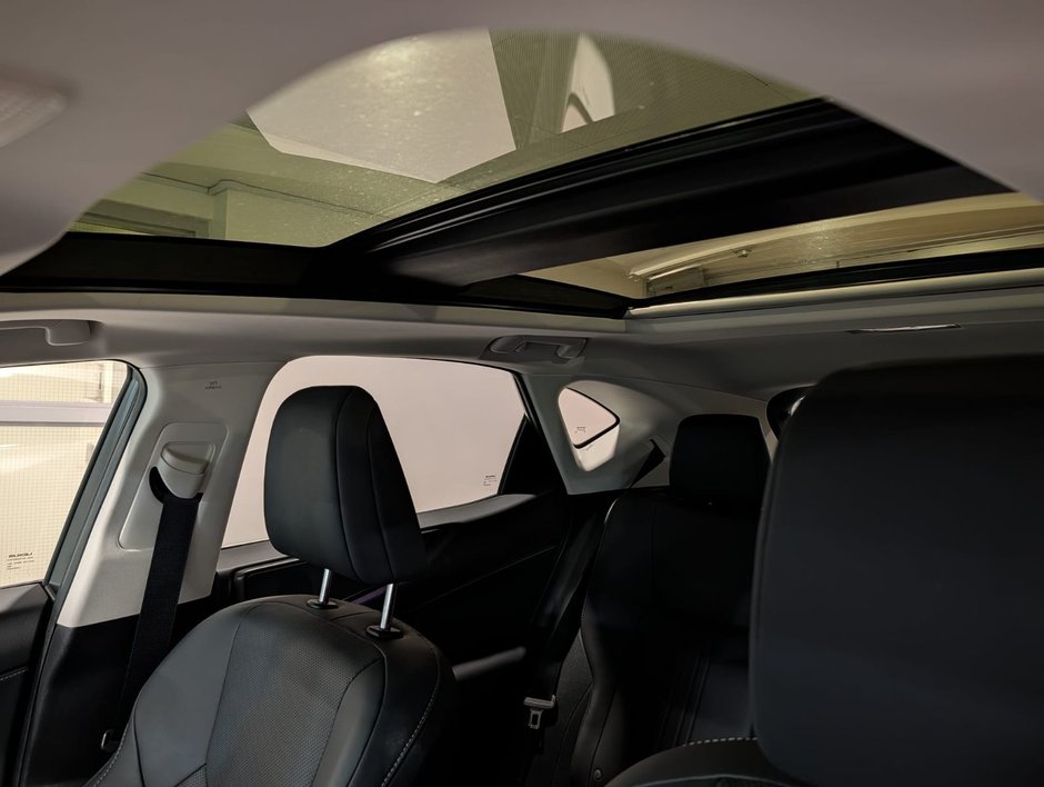 2022 Lexus NX 350h-19