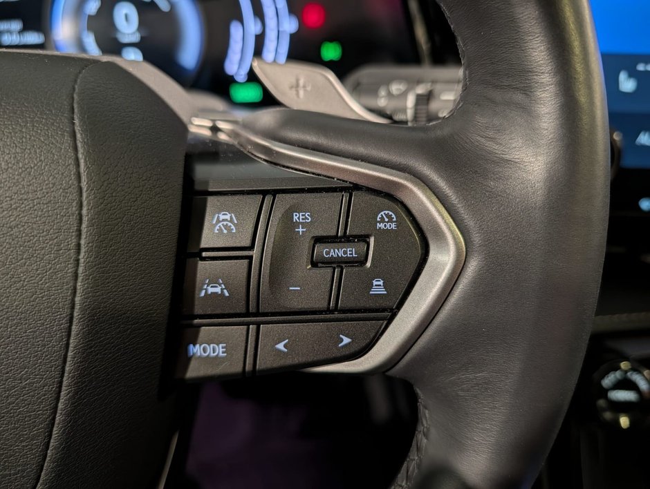 2022 Lexus NX 350h-13