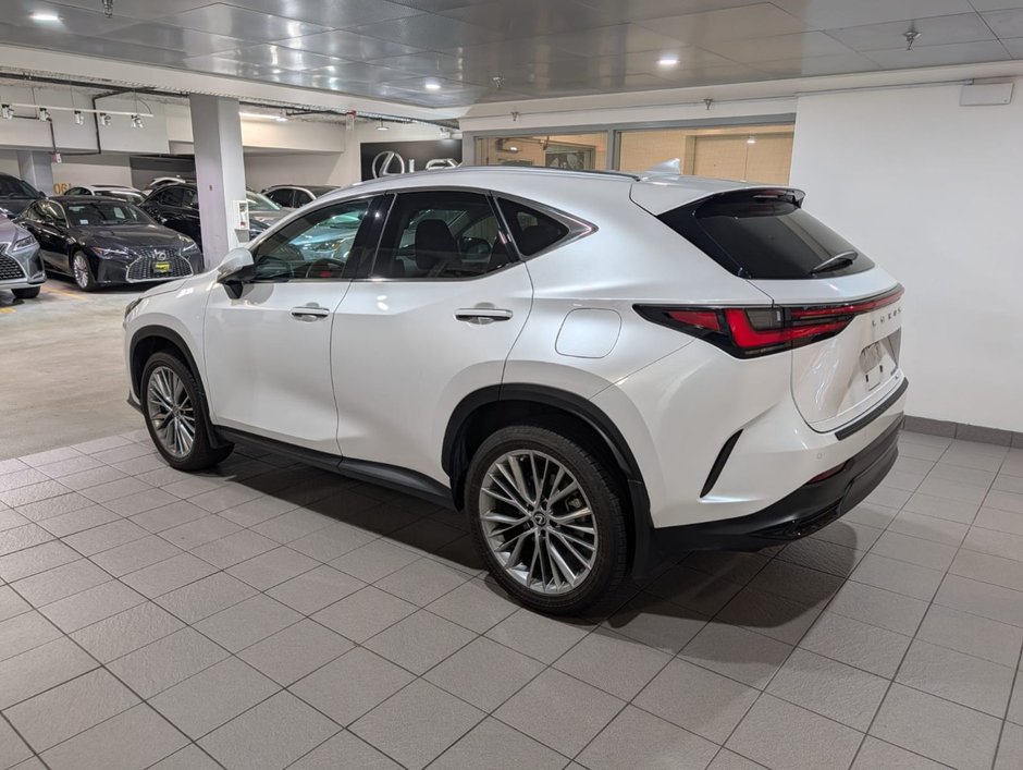 2022 Lexus NX 350h-2