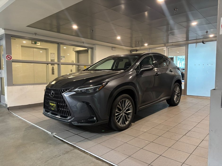 2022 Lexus NX 350h-0