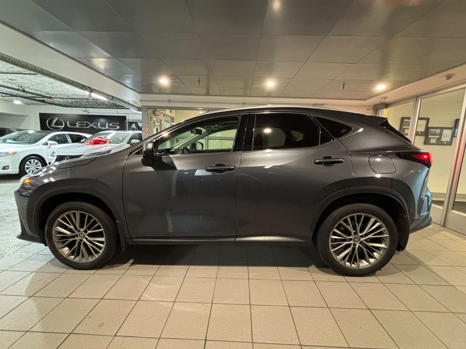 2022 Lexus NX 350h-2