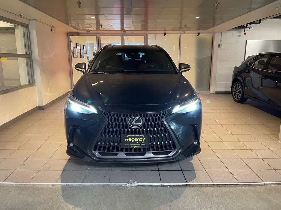 2023 Lexus NX 350h-1