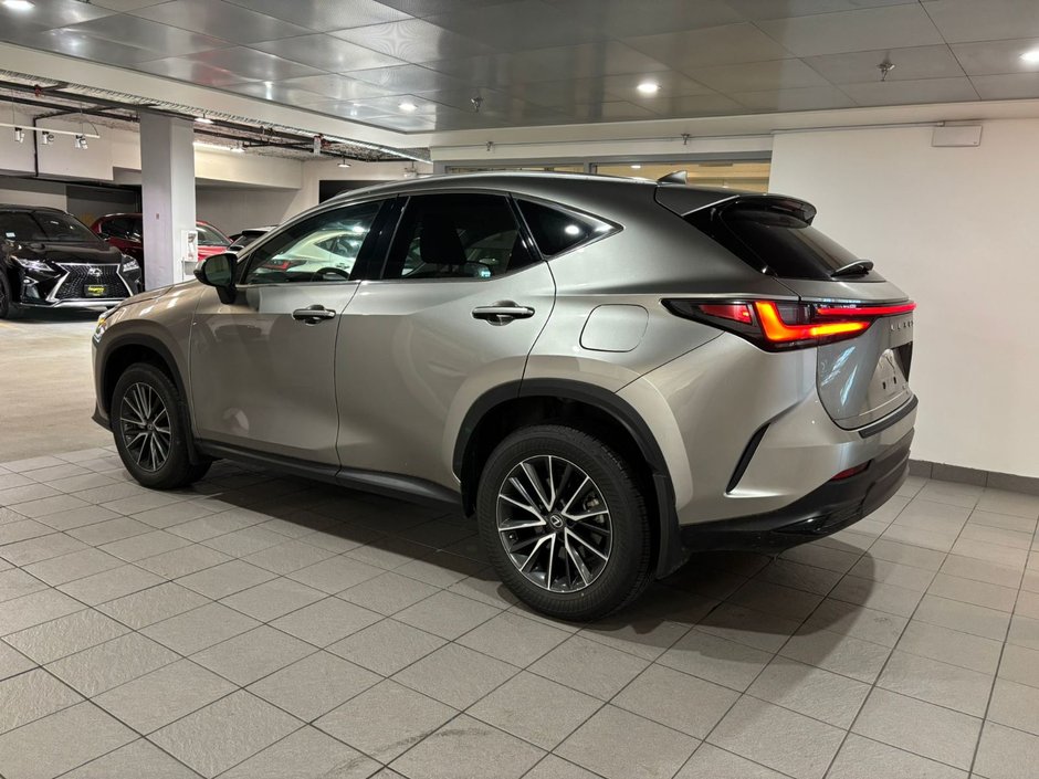 2023 Lexus NX 350h-3