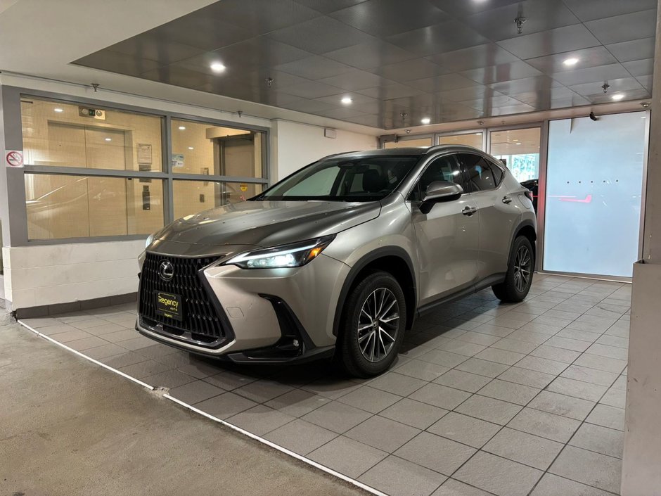 2023 Lexus NX 350h-0