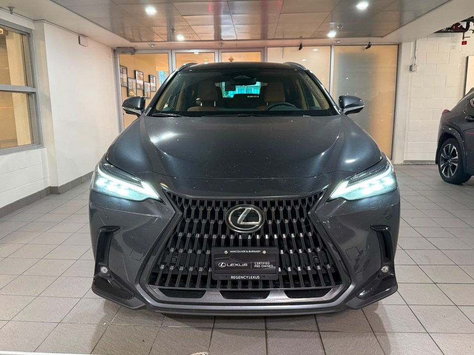 2023 Lexus NX 350h-1