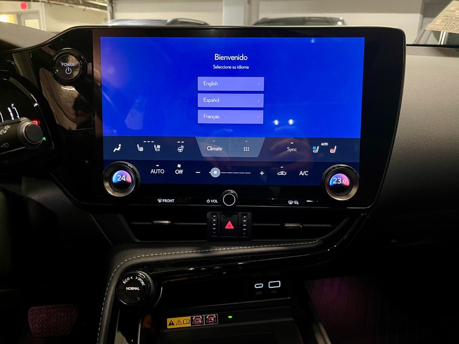 2024 Lexus NX 350h-19