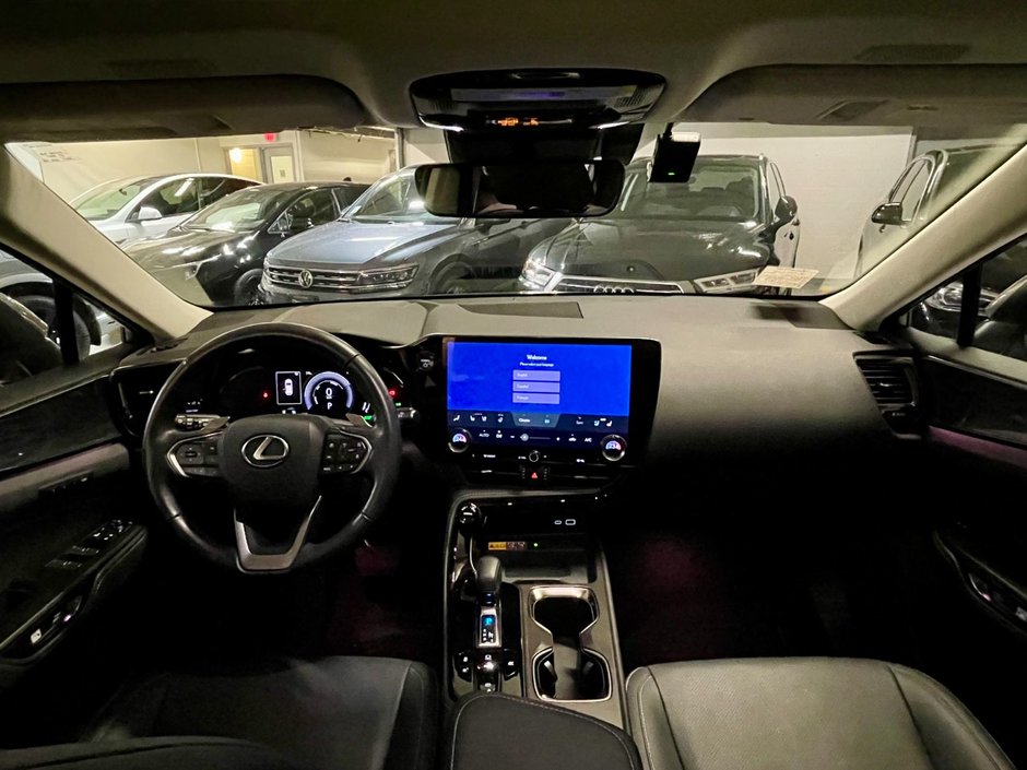 2024 Lexus NX 350h-13