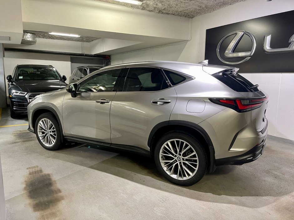 2024 Lexus NX 350h-5