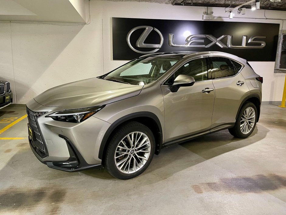 2024 Lexus NX 350h-0