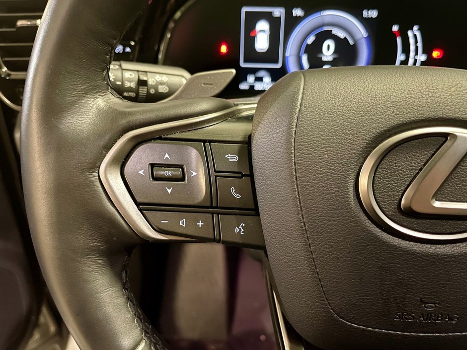 2024 Lexus NX 350h-15