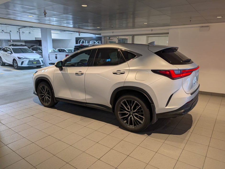 2024 Lexus NX 350h-2