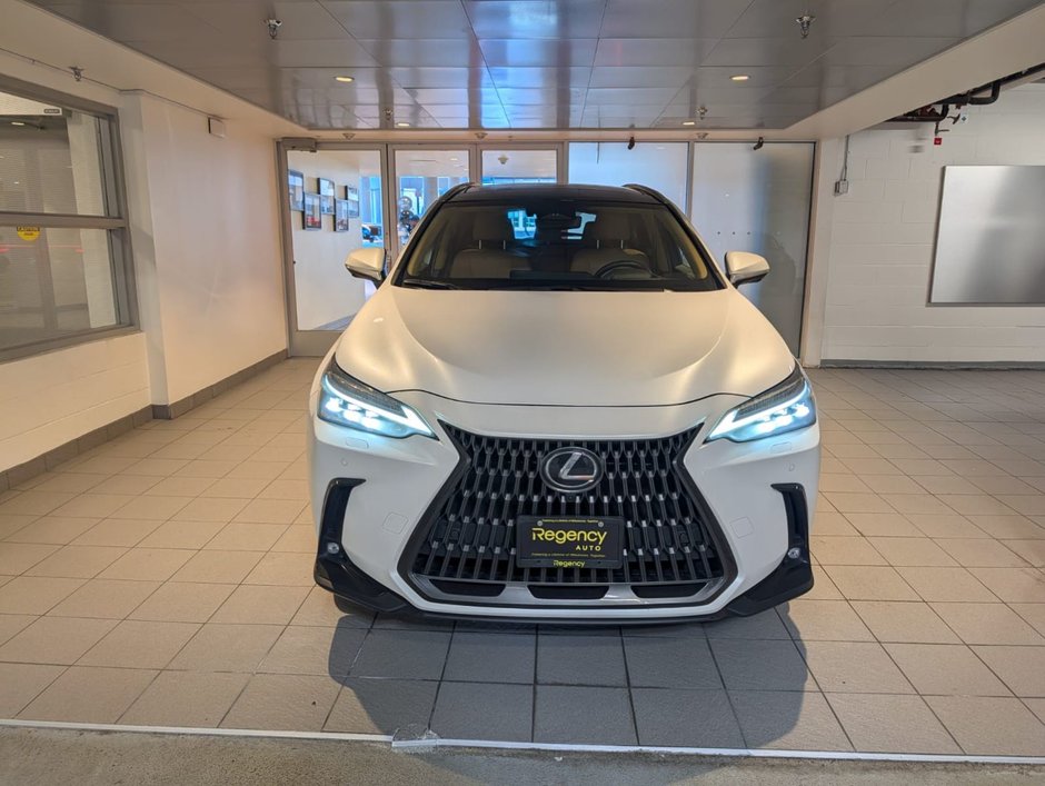 2024 Lexus NX 350h-1
