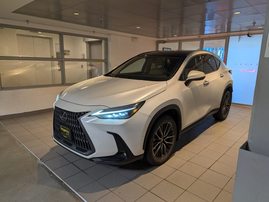 2024 Lexus NX 350h-0