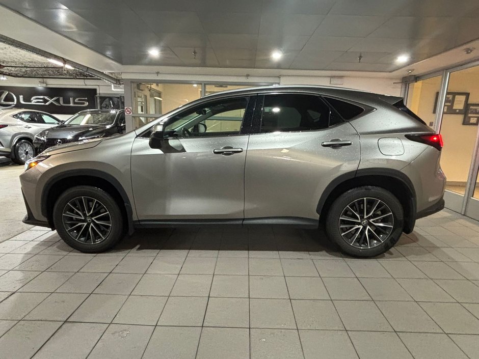 2024 Lexus NX 350h-2