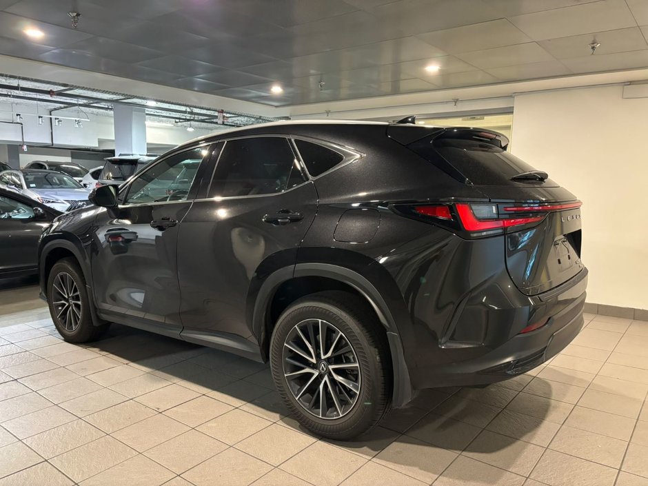 2024 Lexus NX 350h-3