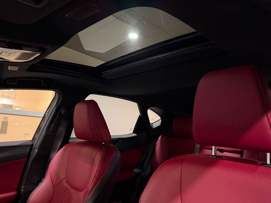 2025 Lexus NX 350h PREMIUM PACKAGE-19
